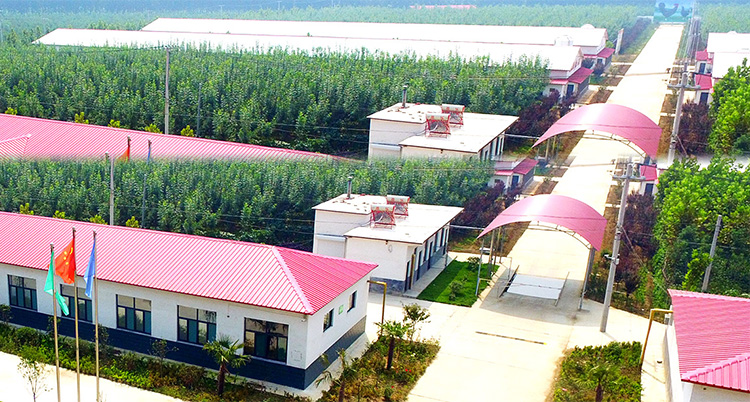 山東省濟寧市同力機械股份有限公司