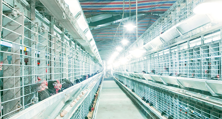 山東省濟(jì)寧市同力機(jī)械股份有限公司